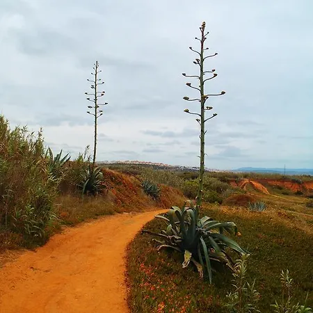 Alaia Surflodge * Ericeira