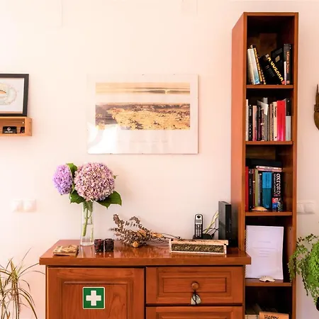 Alaia Surflodge Hostel