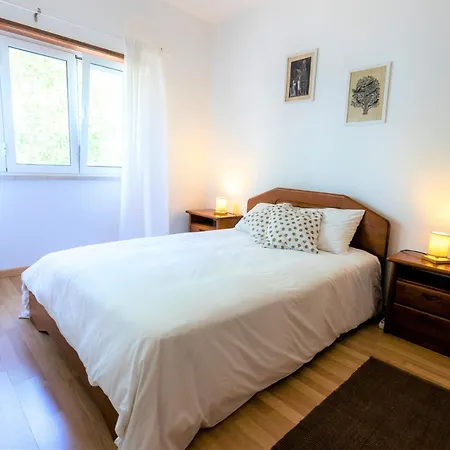 Alaia Surflodge Hostel *