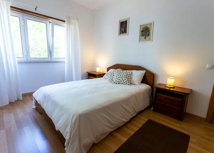 Alaia Surflodge Otel Ericeira