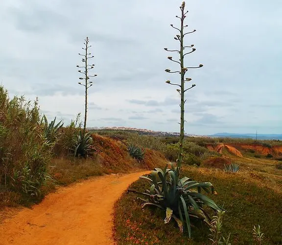 Alaia Surflodge * Ericeira